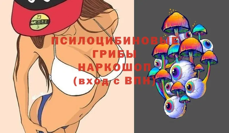 Псилоцибиновые грибы Psilocybine cubensis  даркнет сайт  Высоцк 