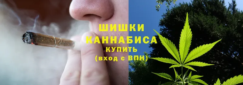 Шишки марихуана White Widow  Высоцк 